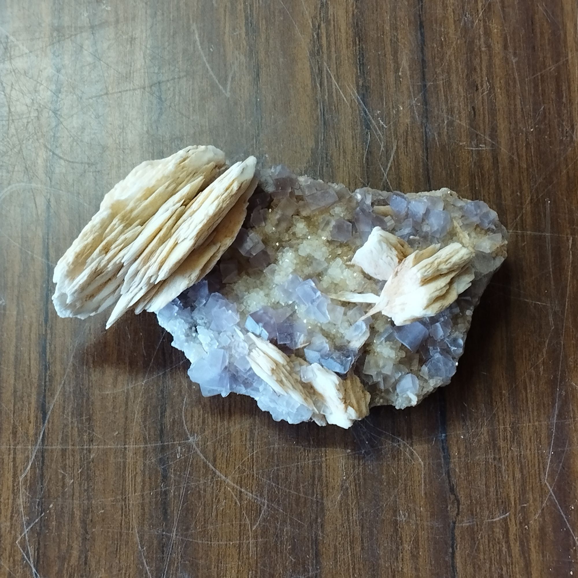 Barytine sur Fluorine de France – Image 4