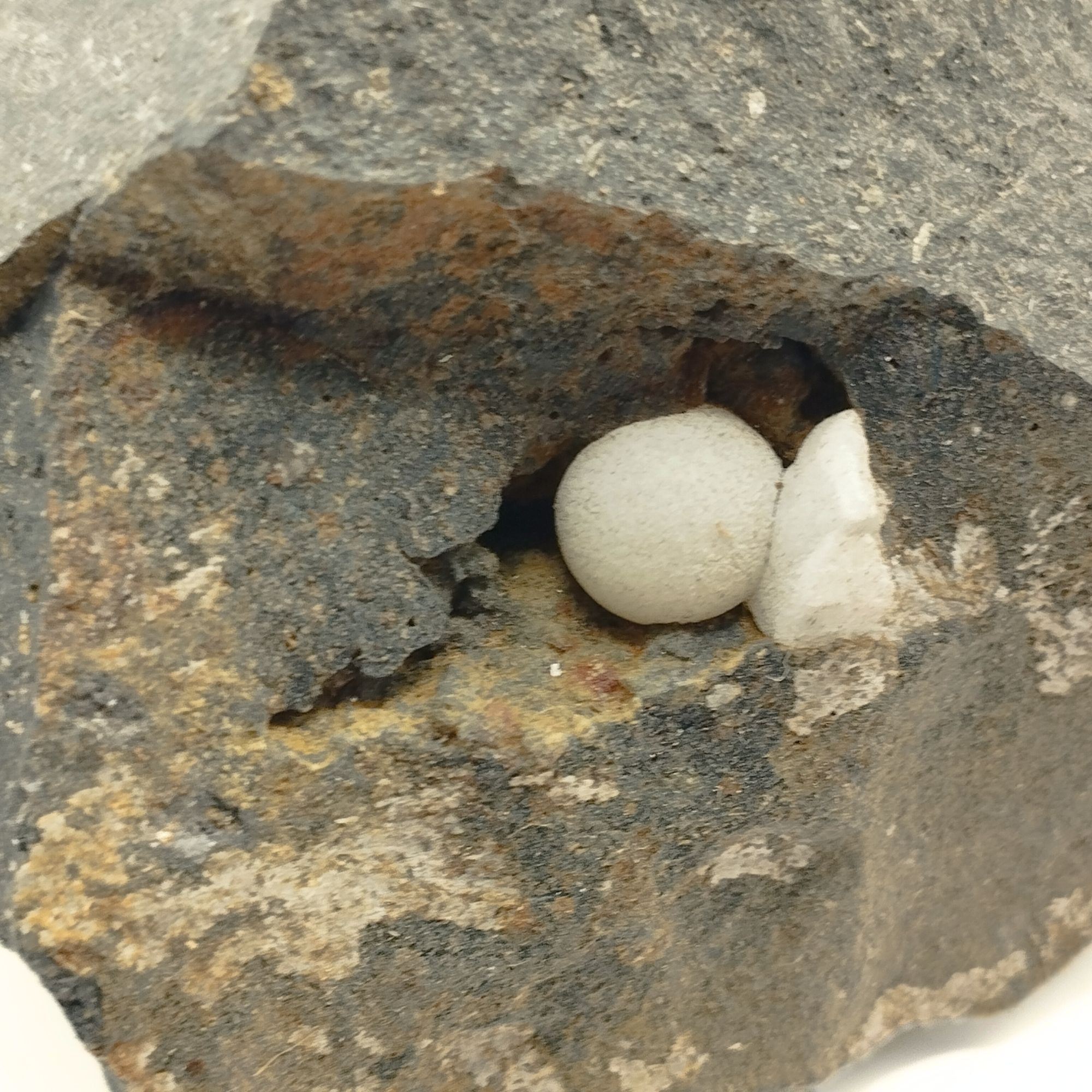 Boules de calcite sur basalte de Vic-sur-Cère – Image 2