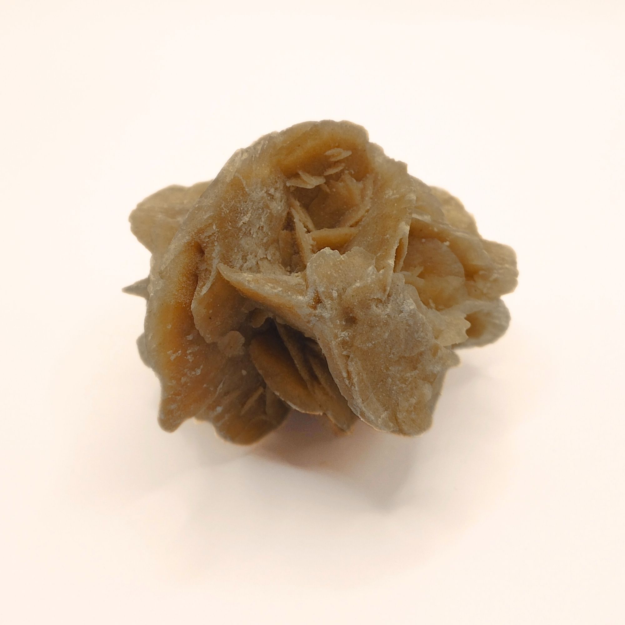 rose des sables du maroc