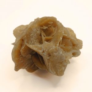 rose des sables du maroc