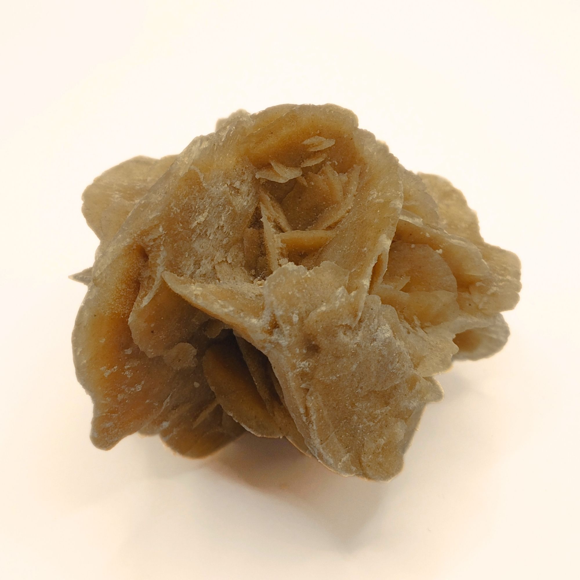 rose des sables du maroc