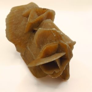 rose des sables du maroc