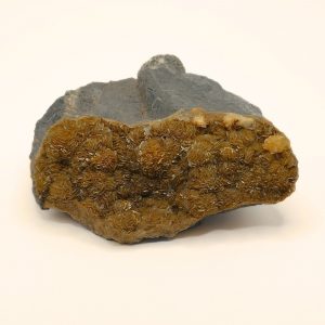 Sidérite d'Albi (Tarn)