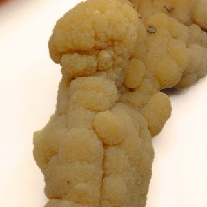 calcite de clermont-ferrand