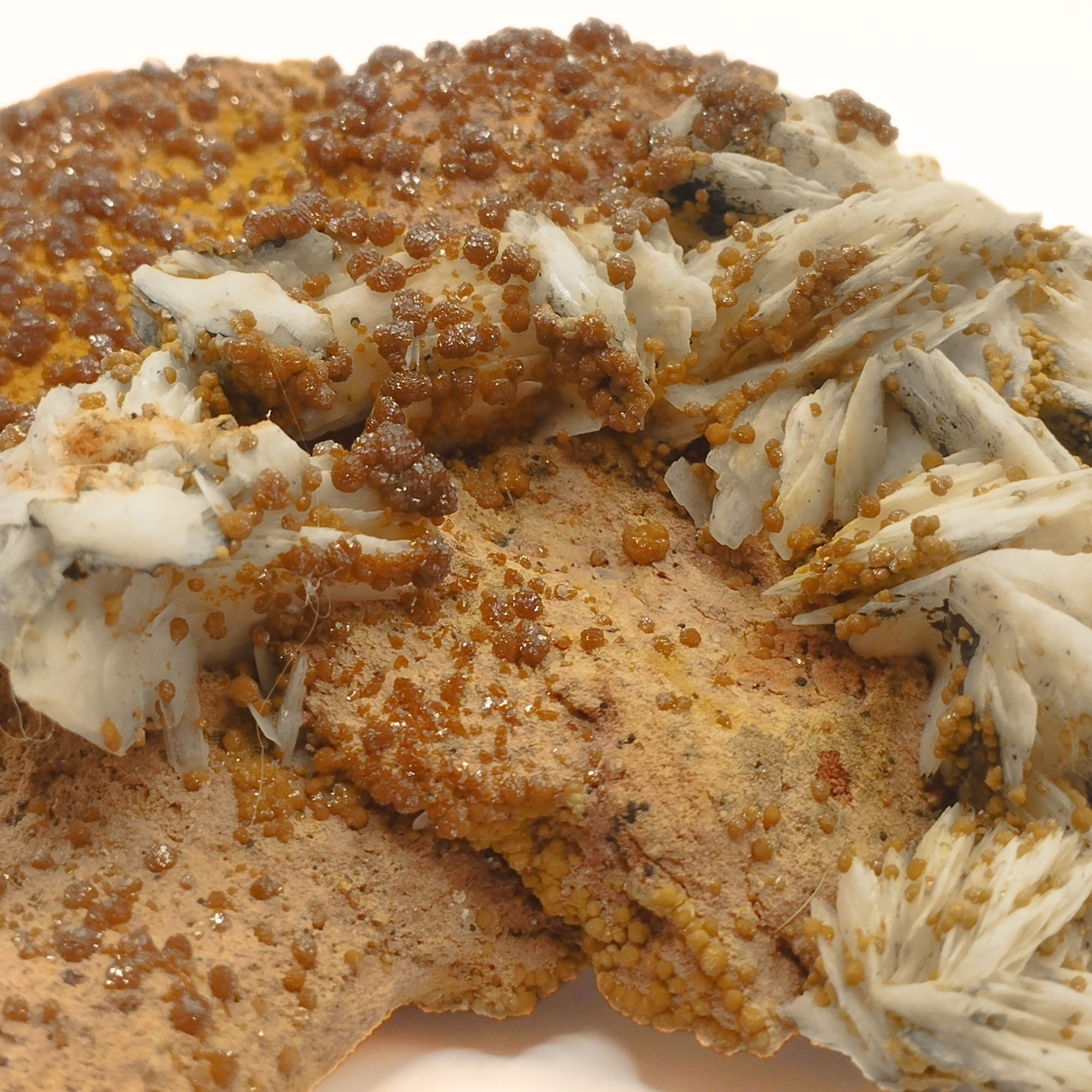 Vanadinite et Baryte du Maroc – Image 2