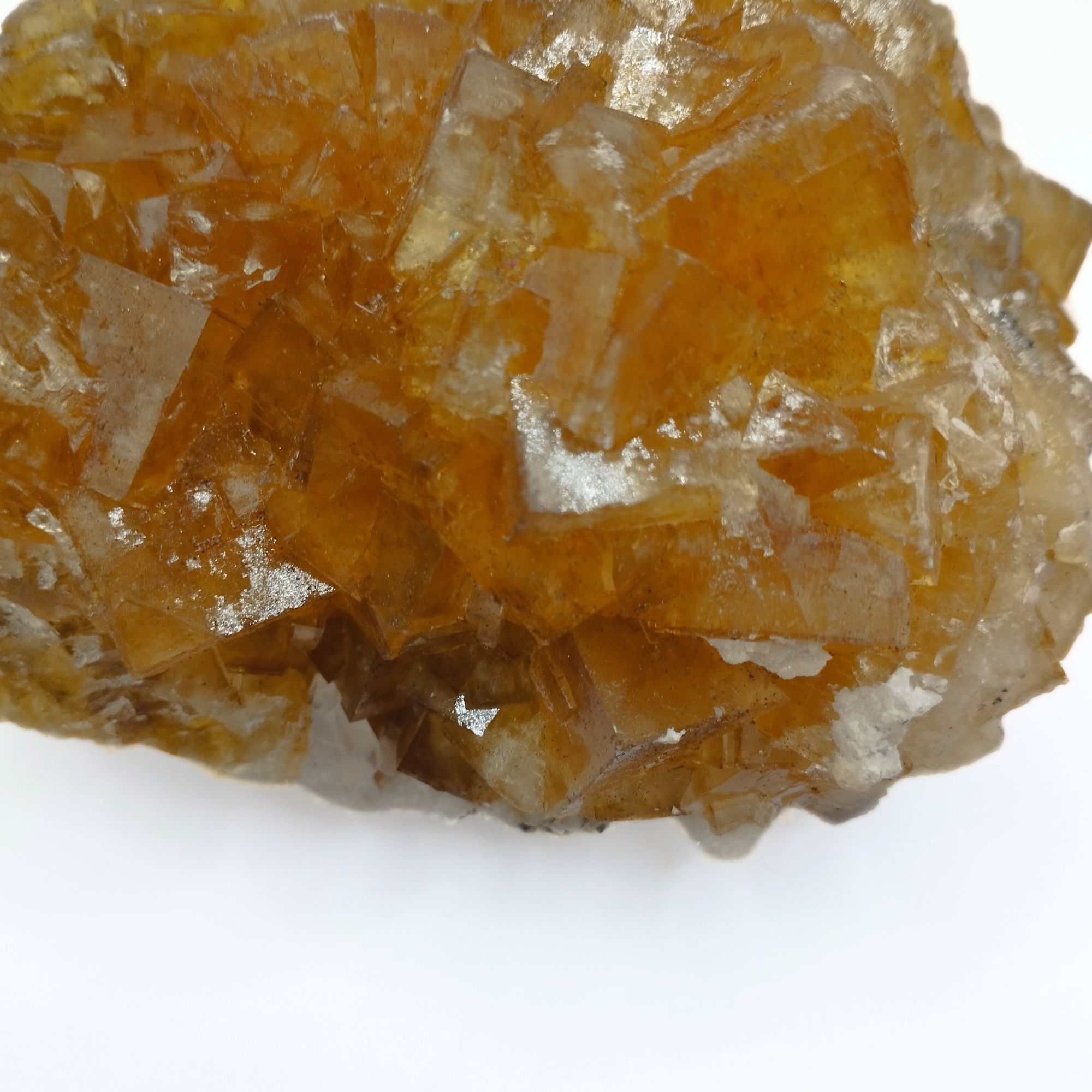 Fluorine de Pau – Image 2