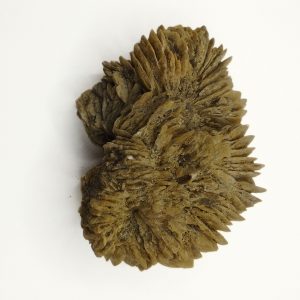 gypse du Loir-et-Cher