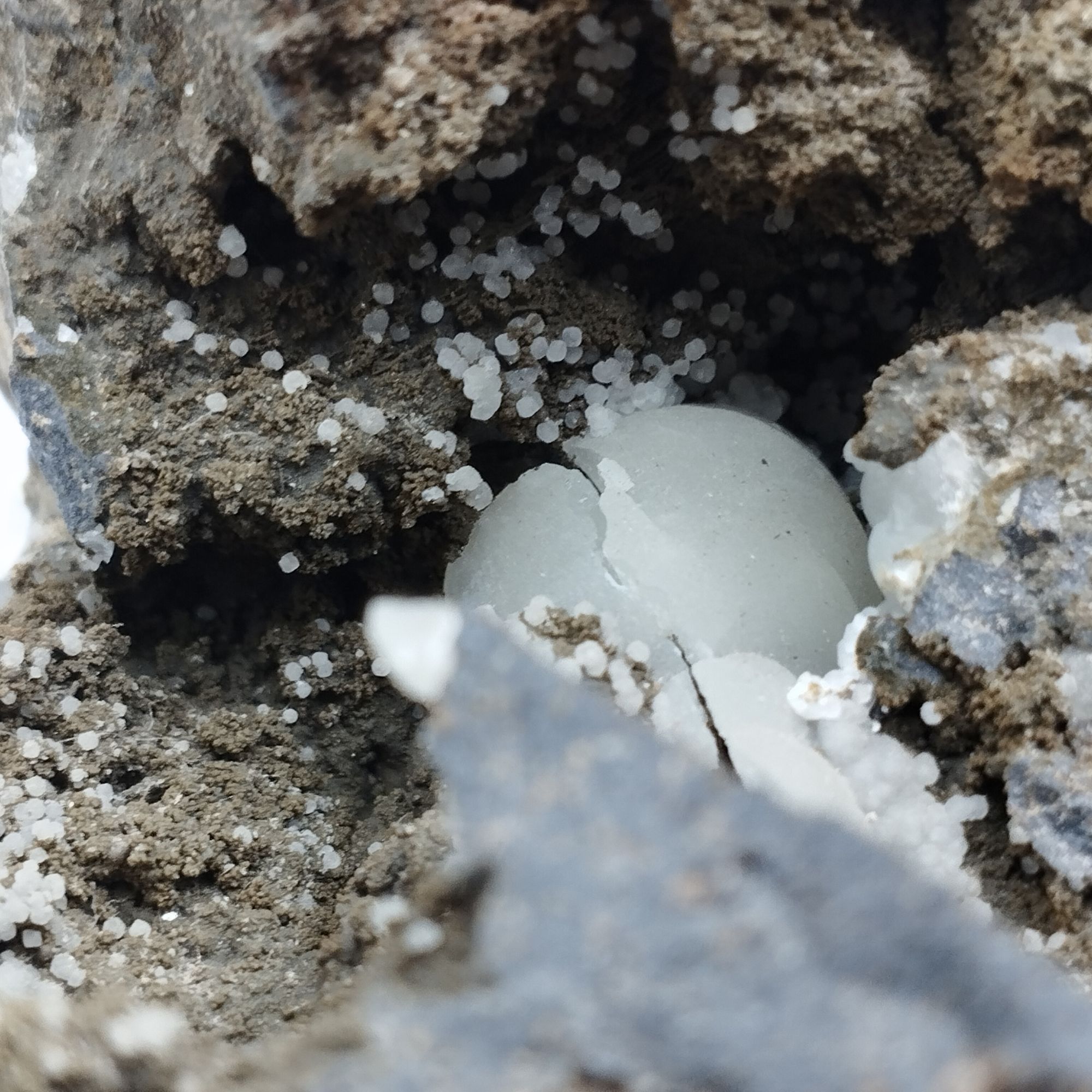 Boules de calcite sur basalte de Vic-sur-Cère – Image 3