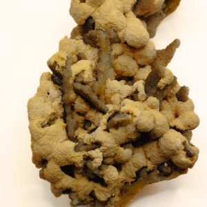 baryte sur quartz de Cuzac