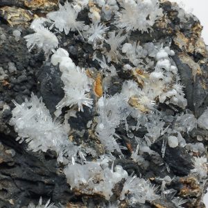 Aragonite de Clermont-Ferrand