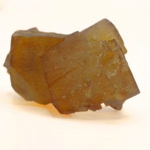 fluorine du Maroc
