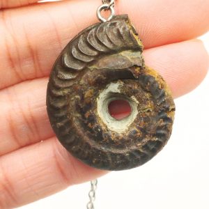 pendentif ammonite