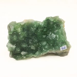 fluorine verte de madagascar